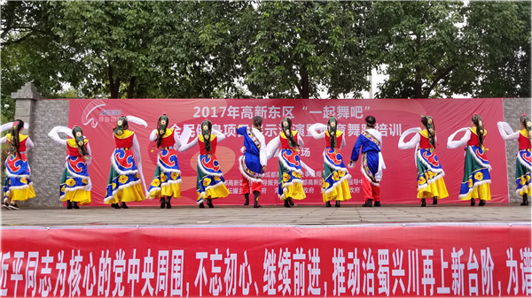 2017年高新东区“一起舞吧”全民健身项目展示汇演暨体育舞蹈培训