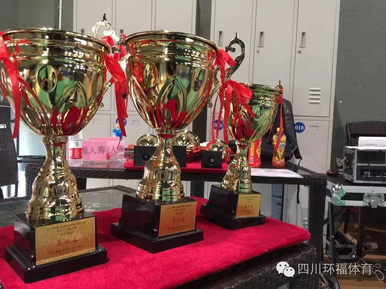 2016年中国人寿保险公司四川省分公司职工乒乓球比赛